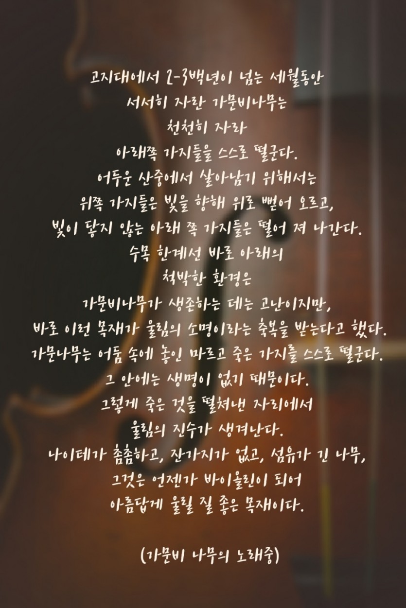 03e5b0fe6aef10e2faae29eeaa3dea62_1665646958_2706.jpg