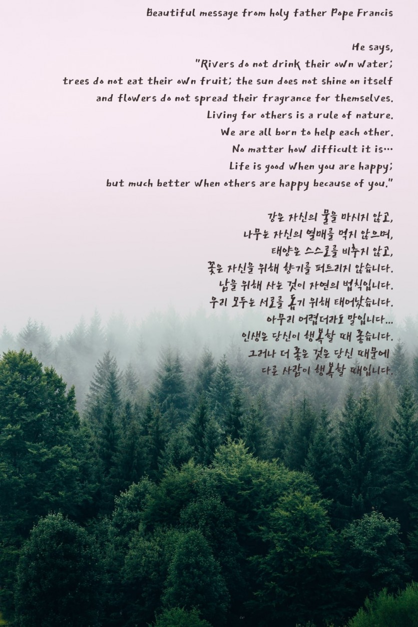 03e5b0fe6aef10e2faae29eeaa3dea62_1665647205_8604.jpg